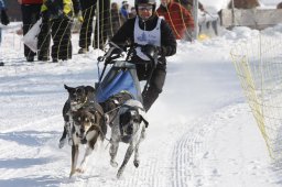 Lenk 2012 SM